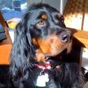 Diane Dooley - @dianedooley9 - Twitter