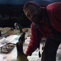 Ryan Chandler (@rchandler14) 's Twitter Profile