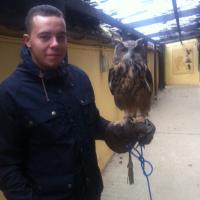 jason fergus (@jason0987f) 's Twitter Profile