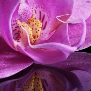 ewelinas1980's profile picture. 