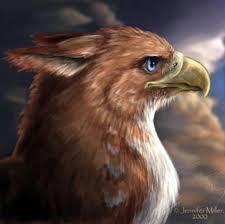 ♥name:unknown♥ owner: ♦ loves to do :fly around in the clouds  single: