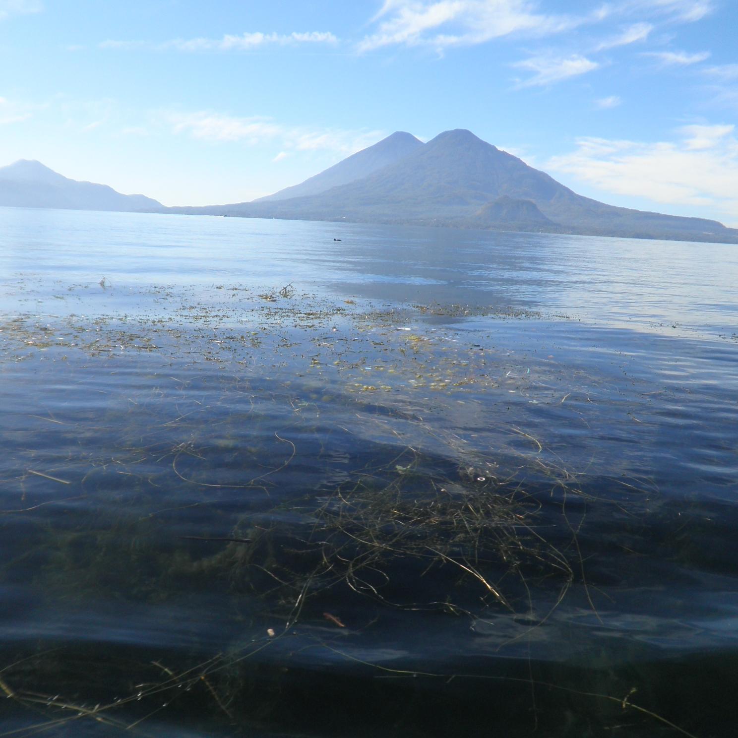 DBCSfacsa's profile picture. 