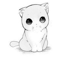 ||owner @RaphaelHotHead||still a young kitten||a female kitten||loves creamy milk and playing but is shy||