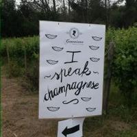 Fiona McDonald (@fionamcdonaldsa) 's Twitter Profile Photo Fiona McDonald (@fionamcdonaldsa) 's Twitter Profile Photo