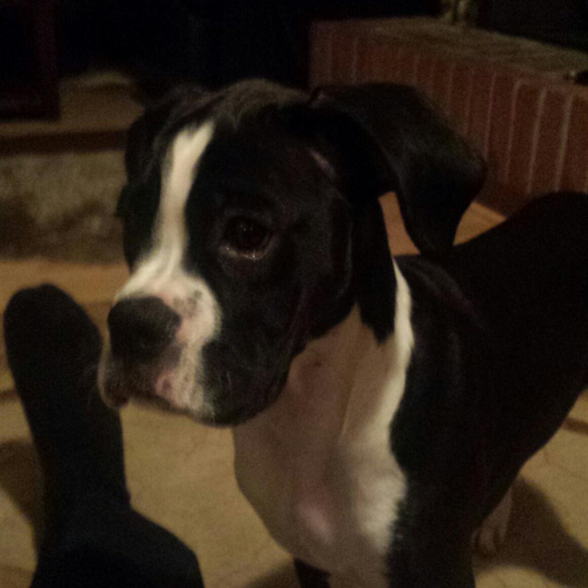 KeithHargrave's profile picture. 