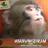 darwinikea's profile image