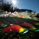 Wilson Luong - @WilsonLuong88 - Twitter