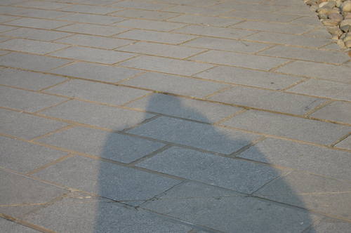 zhkiwi's profile picture. 为什么要打死？