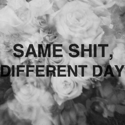 moon_domination's profile picture. 