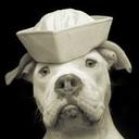 FERNANDO CASTILLA - @fercas1962 - Twitter