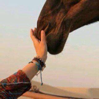 ‏استغفرالله واتوب اليه                                              ( دار الصباآح                                                       KW ِ