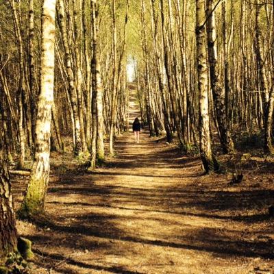 ups0and4d0wns's profile picture. |expression of what its like living with depression|