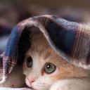 James Kimber - @vlzlos - Twitter