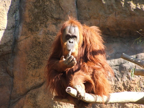 brianbristow's profile picture. 