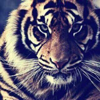 كل لحظہ بدون حكيك يَ شقاهہاا ♡