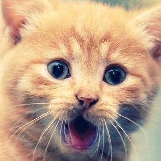 FrasesdOro_'s profile picture. ☺♥Excelentes & Grandes Pensamientos Reales Que Te Harán Pensar Y Reflexionar Siempre. ♥☺ #TeamGold #Realidad #FrasesdOro