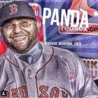 KFP48 (@kfp48) 's Twitter Profile