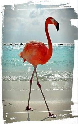 esp_l's profile picture. Perseverante y testaruda hasta la médula!! =9 Music Lover, Crazy, Friend, Sis, Citizen of the World..!