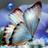 Jime0466's profile image