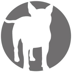 Canine movers 'n' shakers and the very best dog clothing and accessories from around the world. International brands and global shipping. Shop 24/7