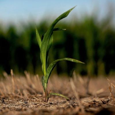 NoJobLand's profile picture. 'Los que se quedan'es un documental sobre el impacto de la crisis en la salud mental en España de @GabrielPec @OlmoCalvo y @evafilgue tras #NoJobLand