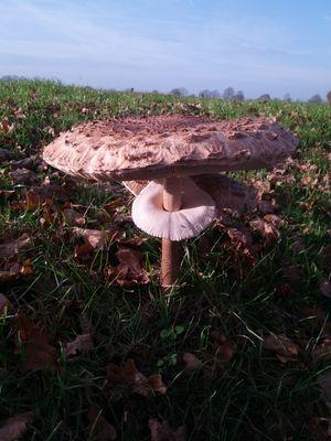 gerrie5167's profile picture. 