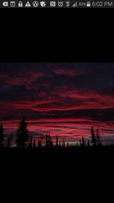 midnightsunCan's profile picture. 