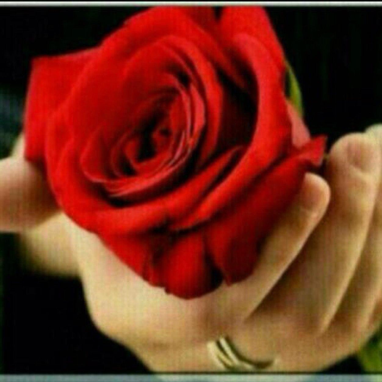 عـــــــــاااشــــقة الخيـــل.. واتمنى املكك واحده .. ~❤️سوو  فولو يامال الجنة ❤️❤️