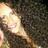 susana_TRS's profile image