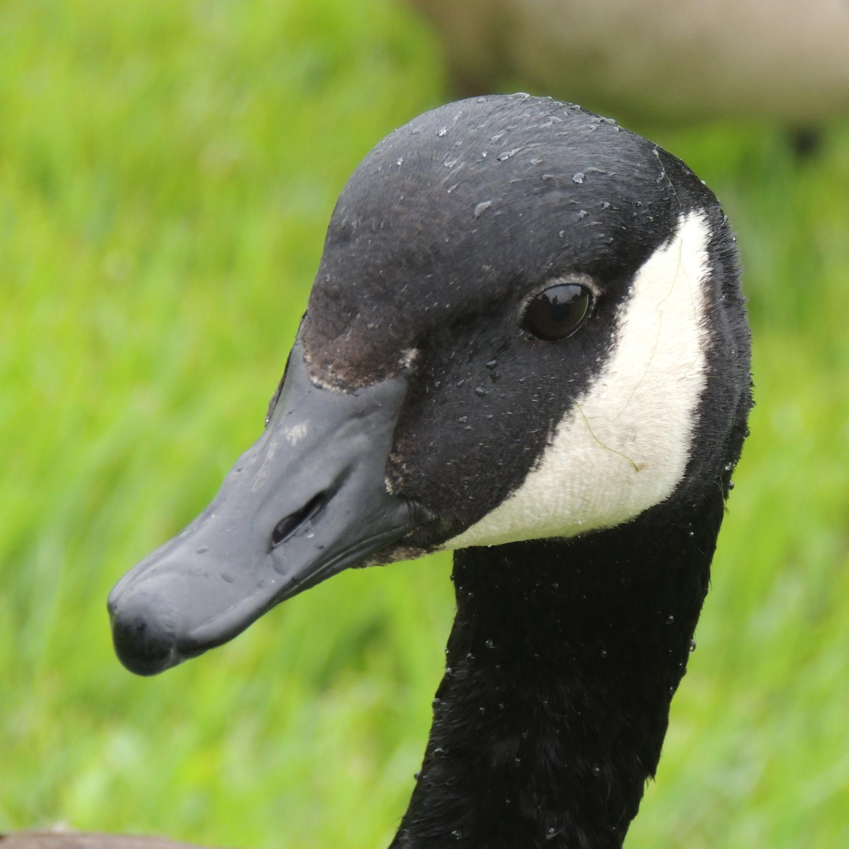 jennrobo1's profile picture. On November 20, 2014, I lost my father. Despite his ancient phone and textspeak illiteracy, we texted often. These are the ones I wish I could send now.