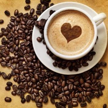 Coffee Expert in search of the finest Coffee House in Dublin! Independent reviews for your drinking pleasure.