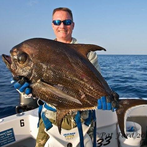 How_To_Fishing's profile picture. 