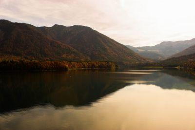 AliKhushnood18's profile picture. 