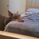 Denise Witmer - @DeniseWitmer - Twitter