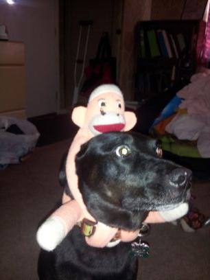 laforest220's profile picture. 