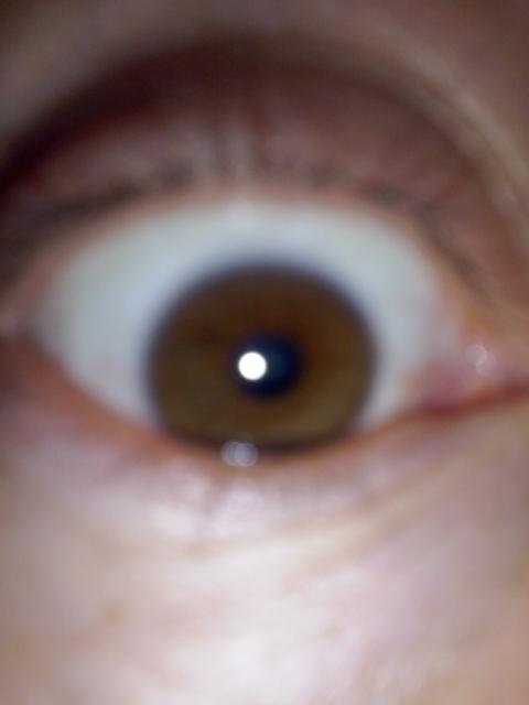 perpetuorock's profile picture. 