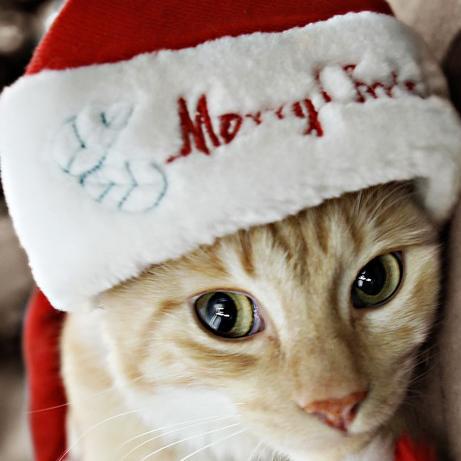 HOLYMONEYS's profile picture. GOD❤БОГ►https://t.co/SCNQSPq5iJ🌐Peace►https://t.co/BvMx3lh5je🌐News►https://t.co/GI2FVpxu3B🌐Chat►https://t.co/GMAsDmxVeA🌐