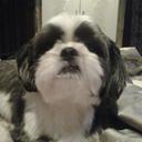 Megan Beard - @meaganbeard123 - Twitter