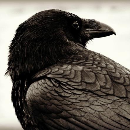 Writer, Potter, Photographer #YA #writer #paranormal #mystery #thriller #suspense #ghost #amwriting https://t.co/woJvkAR30B