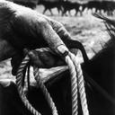 Eric Crowther - @big_country1211 - Twitter