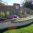 hamptonscalgary's profile image