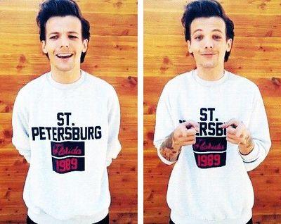 DIrectioner Boy, Larry Shipper
Ziam