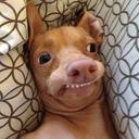 Ignacio Casas - @IgnacioCasas12 - Twitter