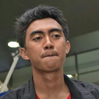 DinaAmalia({})