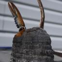 Krista Petersen - @KPMoncton - Twitter