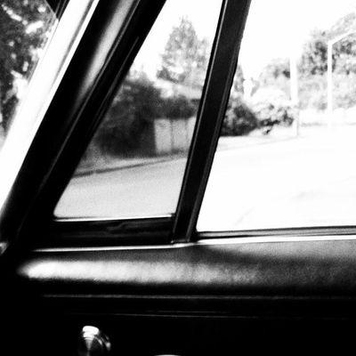 steffkovanda's profile picture. 