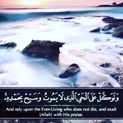 اللهم اني اسالك ان تجعل قبرهم وقبر جميع المسلمين والمسلمات الاحياء منهم والاموات روضة من رياض الجنة خالد-عبدالخالق-عبدالواحد-داوود .. رحمهم الله