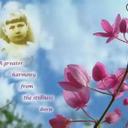 sasmita mohapatra (@13b4da6185a842a) Twitter