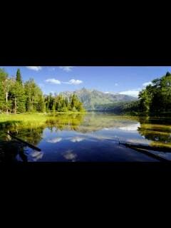 elaman9928's profile picture. я боксер