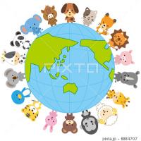 SAVE THE ANIMAI (@animaithesave) Twitter profile photo